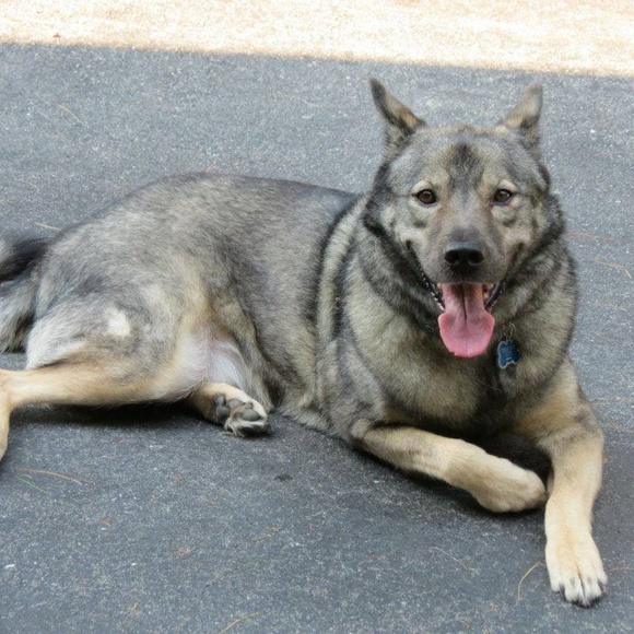 Hi! I'm Chantelle! Welcome to Lady Lily’s Boutique - Picture 4 of 16